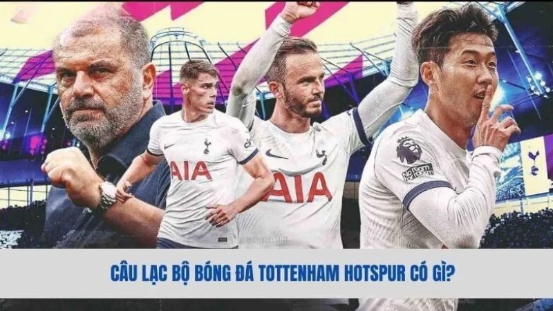 Tottenham - Cập nhật mới nhất về câu bộ bóng đá “Gà trống”